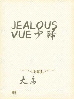 JEALOUSVUE少归