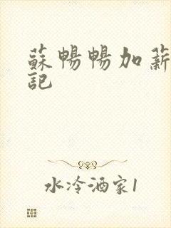 苏畅畅加薪奋斗记