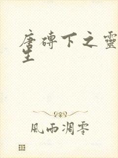 唐砖下之灵域双生