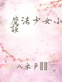 魔法少女小圆小说