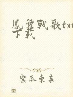 凤舞战歌txt下载