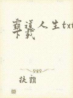 霸道人生txt下载