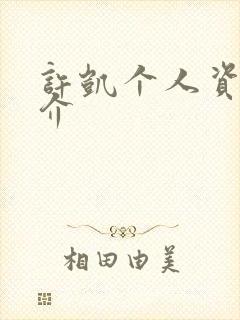 许凯个人资料简介