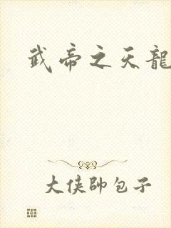 武帝之天龙八部