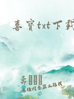 喜宝txt下载