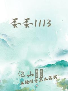 蛋蛋1113