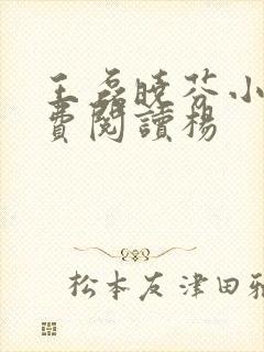 王磊晓芬小说免费阅读杨