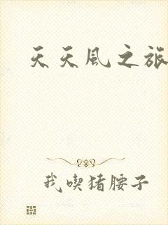 天天风之旅辅助