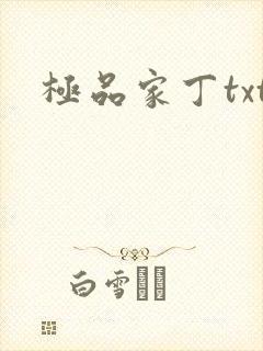 极品家丁txt