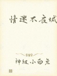 情迷不夜城