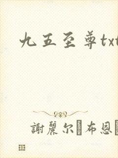 九五至尊txt