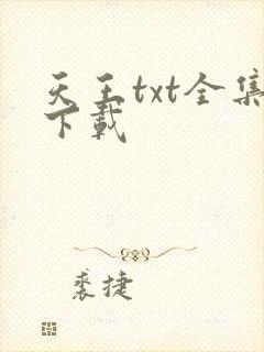 天王txt全集下载