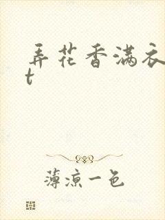 弄花香满衣txt