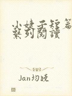 小婕子短篇小说系列阅读