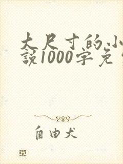 大尺寸的小黄说说1000字免费