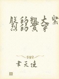 朕的粗大紫红猛烈的贯穿