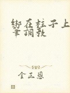 绑在柱子上用毛笔调教