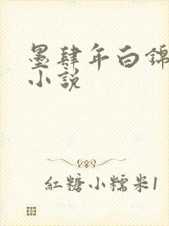 墨肆年白锦瑟 小说
