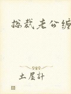 总裁老公缠上门