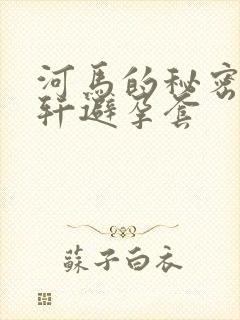 河马的秘密河文轩避孕套