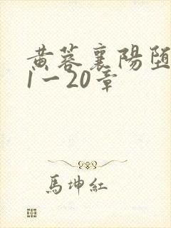 黄蓉襄阳堕落史1一20章