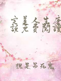 完美人生唐诚小说免费阅读