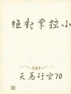 绝对掌控小说