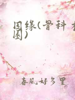 因缘(骨科 校园)