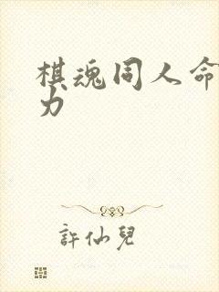 棋魂同人命运之力