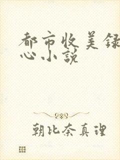 都市收美录宁素心小说