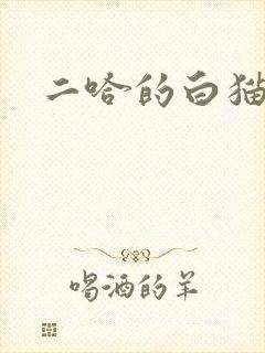 二哈的白猫师尊