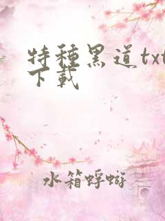 特种黑道txt下载