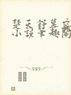 楚天舒慕容江月小说笔趣阁