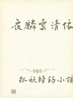 夜麟云清依小说
