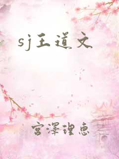 sj王道文