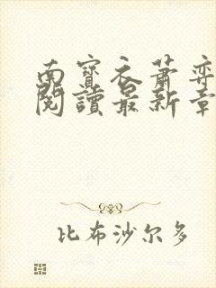 南宝衣萧弈免费阅读最新章节