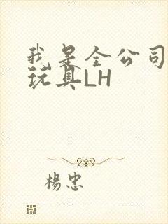 我是全公司发泄玩具LH