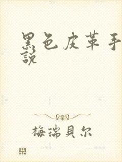 黑色皮革手册小说