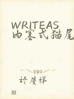WRITEAS内塞式猫尾