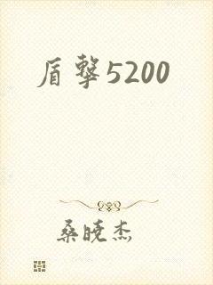 盾击5200