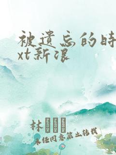 被遗忘的时光txt新浪