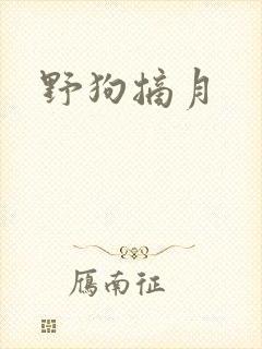 野狗摘月