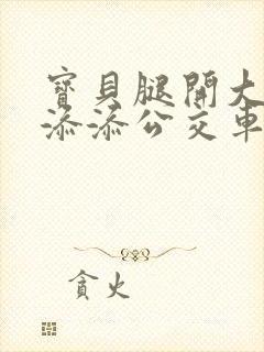 宝贝腿开大点我添添公交车