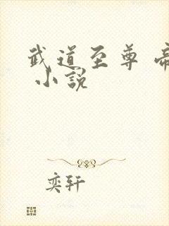 武道至尊 帝临 小说