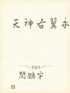 天神右翼永恒