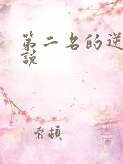 第二名的逆袭小说
