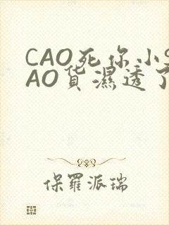 CAO死你小SAO货湿透了学长