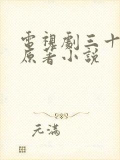 电视剧三十而已原著小说