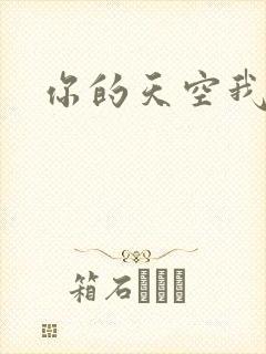 你的天空我的城