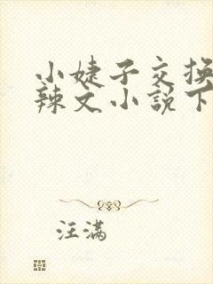 小婕子交换系列辣文小说下载